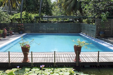Photo of resort pool