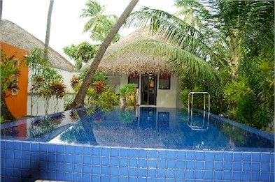 Photo of resort pool