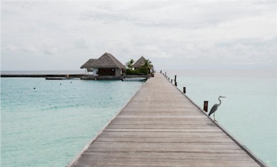 Arrival jetty photo of resort island